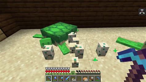 The very first thing you need to do is find a nice sandy beach or island,. . How to get scutes in minecraft